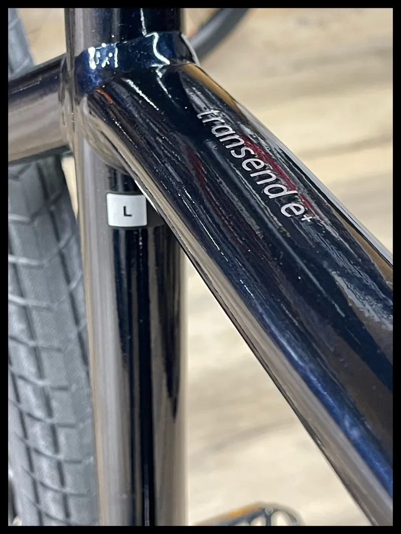 Momentum Transend E+ Large Ink-3