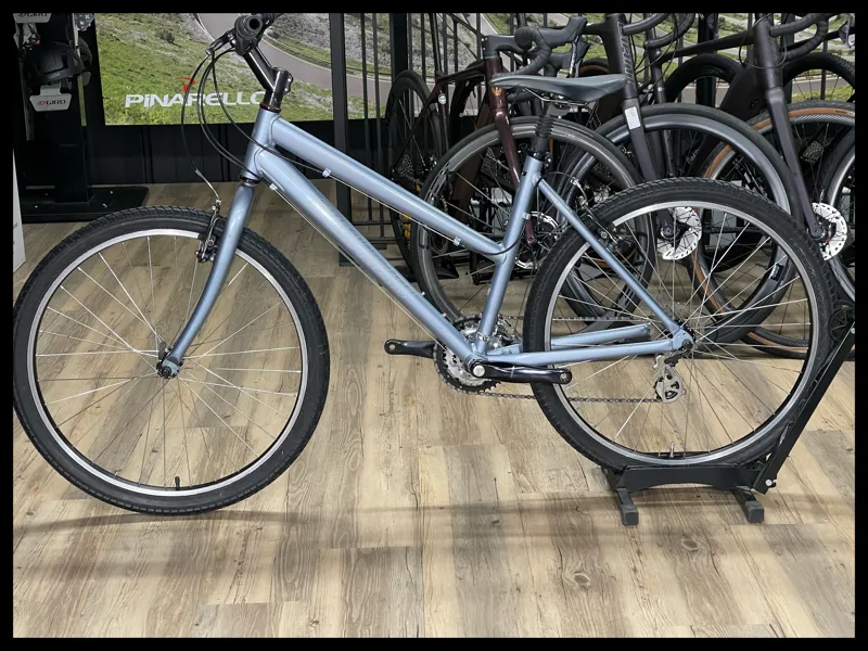 Specialized Expedition Hybrid bike 18 inch Silver-1