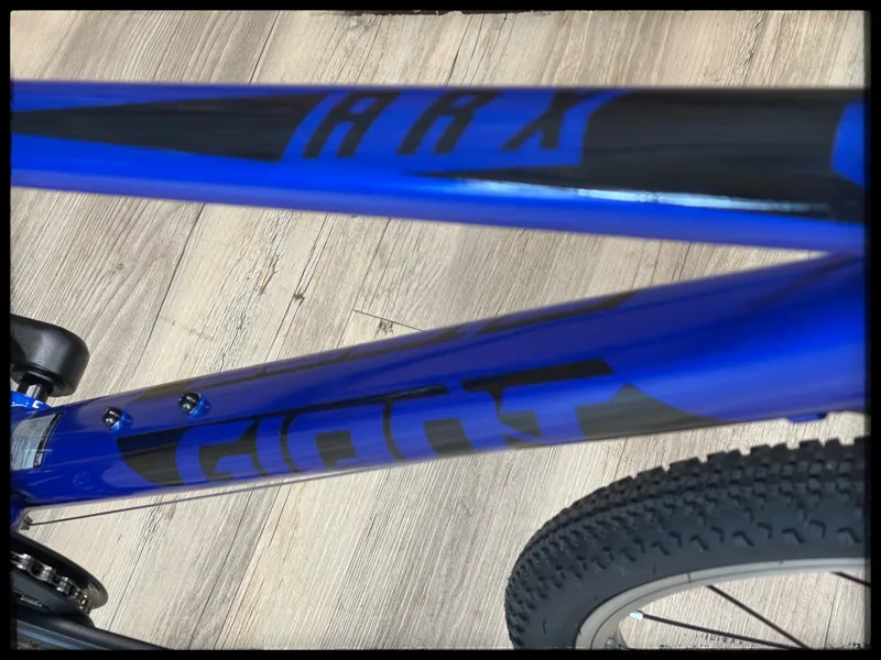 2022 Giant ARX 26 Kids Bike in Sapphire-2