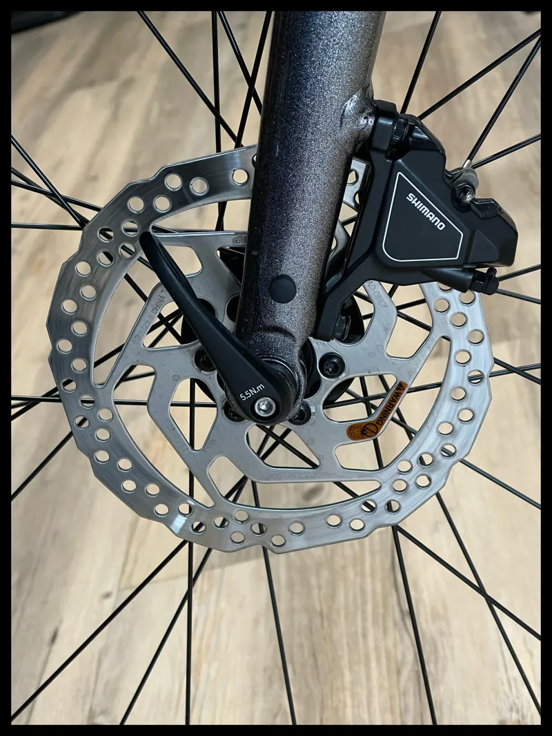 Giant FastRoad E+ 2 Pro 25km/h Medium Large Glitter Gray  -6