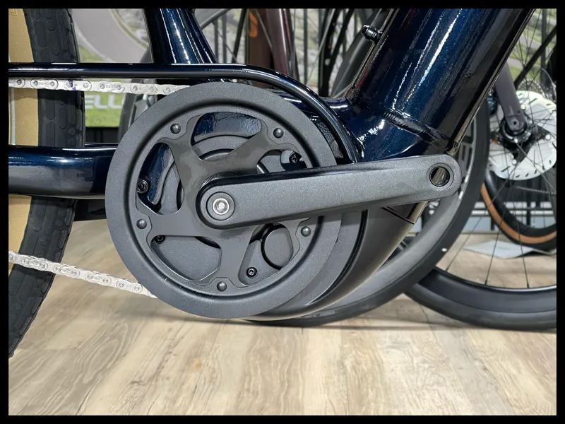 Momentum Transcend e+ Ink  Small-2