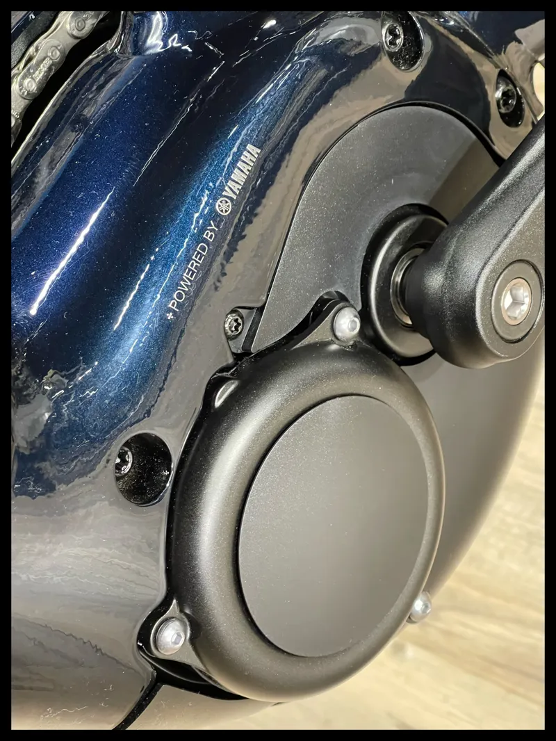 Momentum Transcend e+ Ink  Small-7