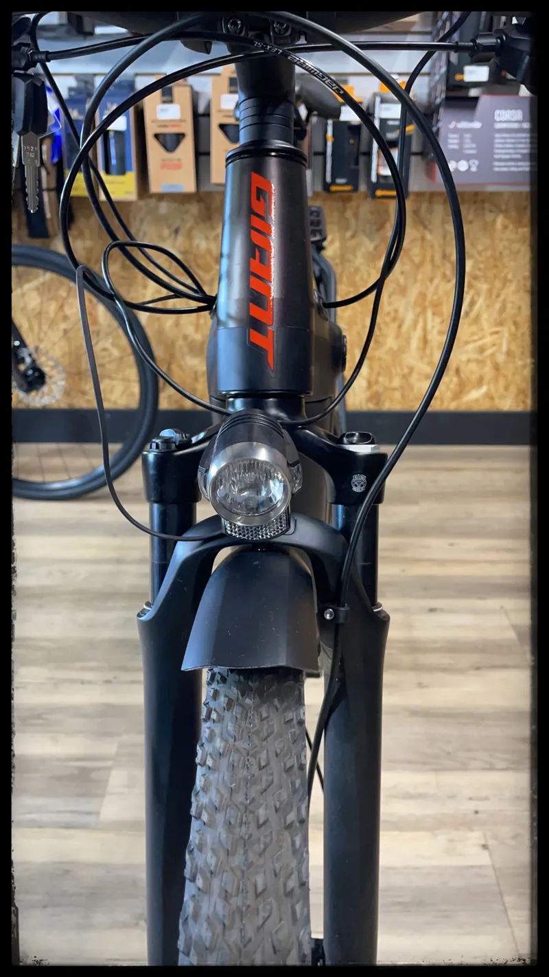 Explore E+ 1 Pro STA 25km/h Medium Rosewood 2021-3