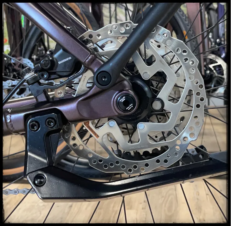 Explore E+ 1 Pro STA 25km/h Medium Rosewood 2021-8