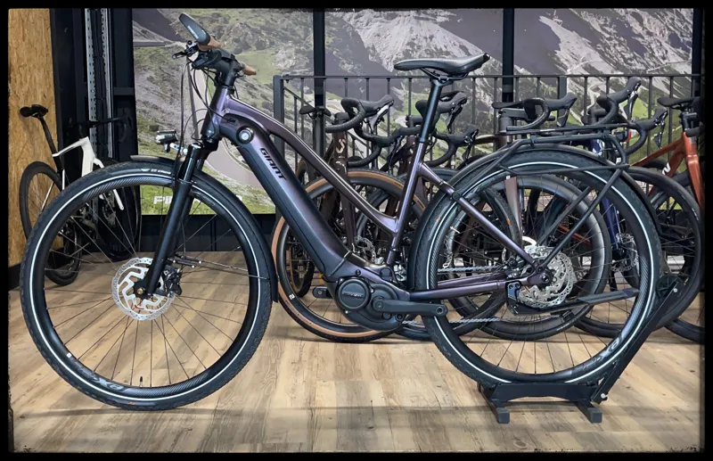 Explore E+ 1 Pro STA 25km/h Medium Rosewood 2021-1