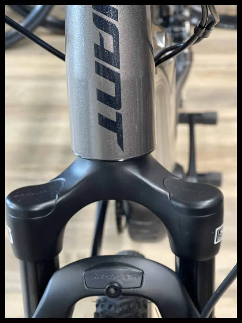 Giant Roam E+ GTS 25km/h Medium Metal-2