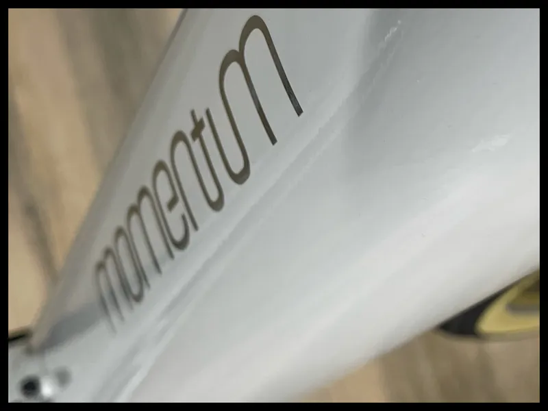 Momentum Transend E+ large lunar-2