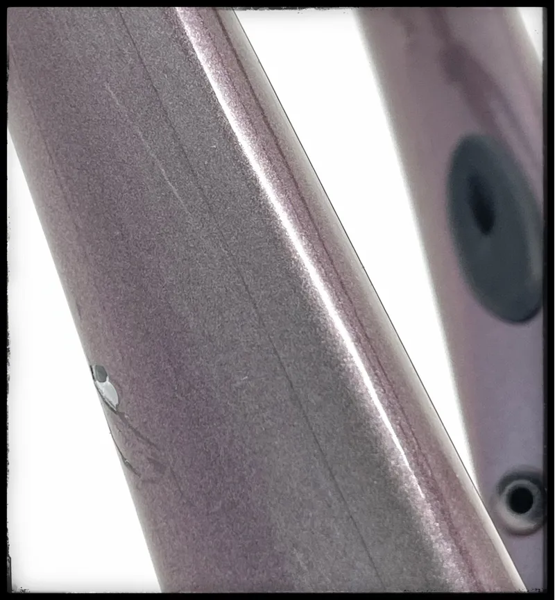 Giant TCR Advanced Pro Disc-FF A Medium-Large Orion Nebula 2023-8