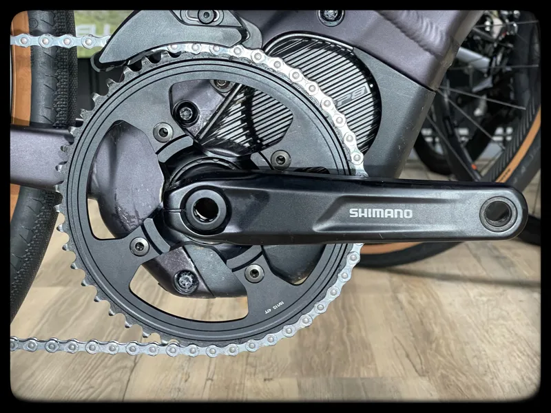 Revolt E+ Pro XR 25km/h Large Rosewood-4