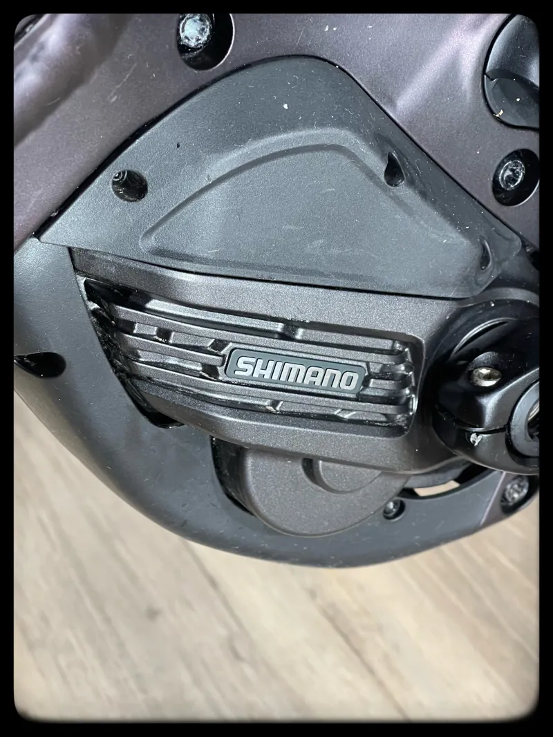 Revolt E+ Pro XR 25km/h Large Rosewood-6