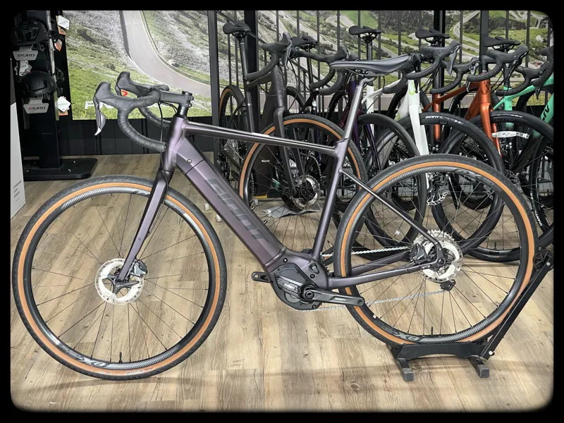 Revolt E+ Pro XR 25km/h Large Rosewood-1