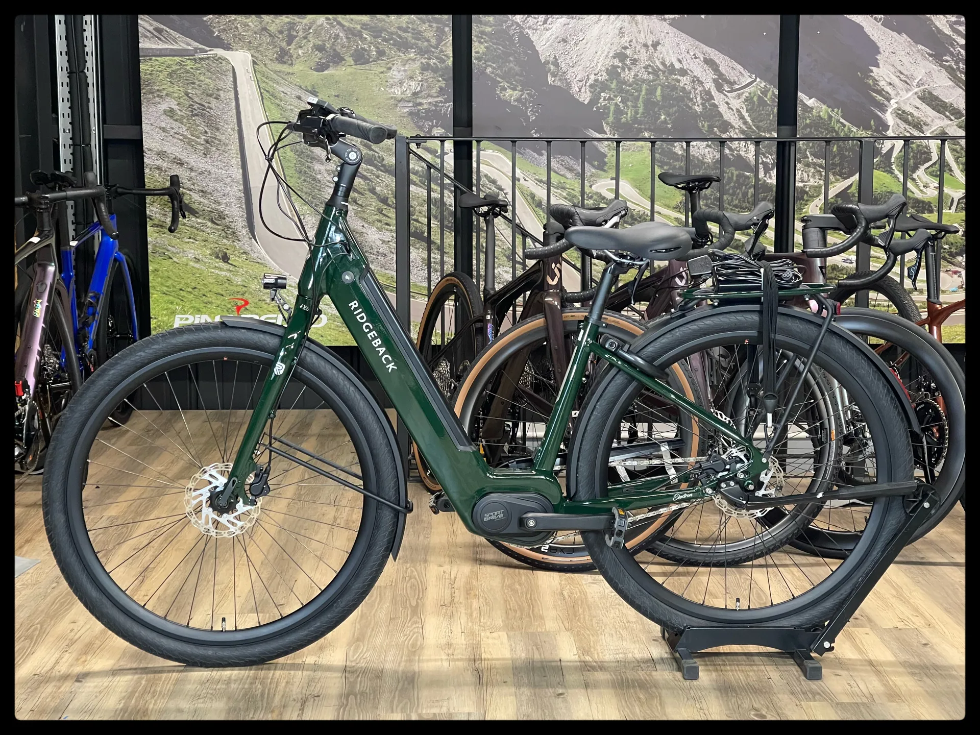 Ridgeback Electron INT Women's Alum ebike in Green