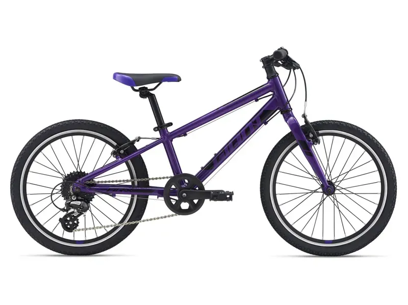 2021 Giant ARX 20 Kids Bike in Purple