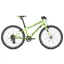 2020 Giant ARX 24 Childs Bike in Green
