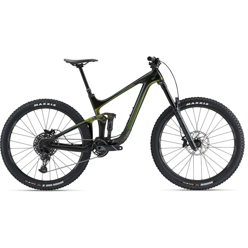 Giant Reign Advanced Pro 29 2 Enduro Bike in Panther