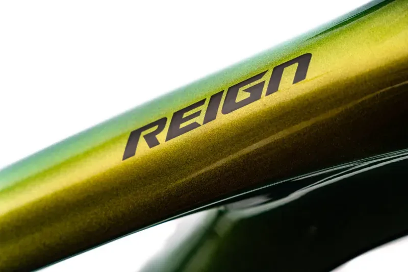 2020 Giant Reign Advanced Pro 29 0 Carbon FS Mountain Bike in Green-3