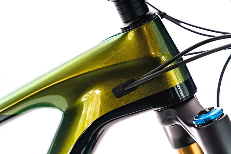 2020 Giant Reign Advanced Pro 29 0 Carbon FS Mountain Bike in Green-2