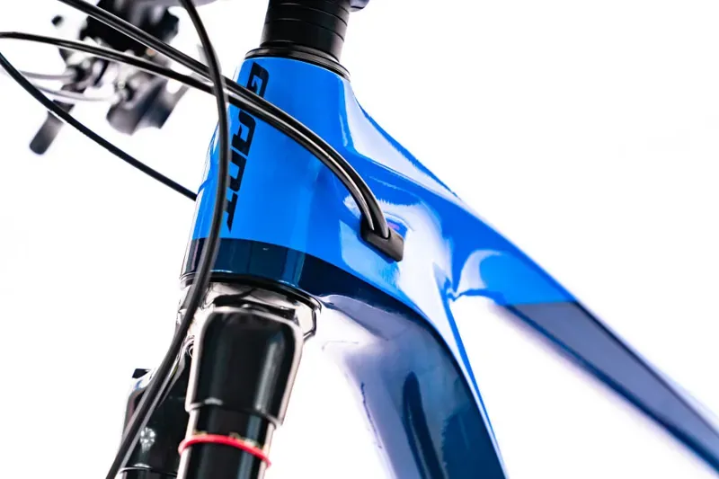 2020 Giant Reign Advanced Pro 29 2 Carbon FS Mountain Bike in Blue-1