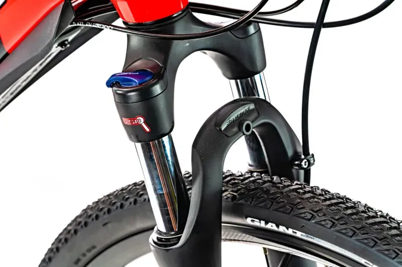 2020 Giant Roam 2 Disc Hybrid Bike in Red-2