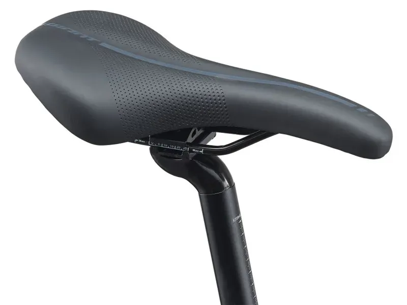 2021 Giant Escape 2 Disc Hybrid Bike in Grey-4