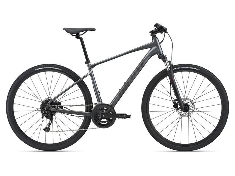 2021 Giant Roam 2 Disc Hybrid Bike in Grey