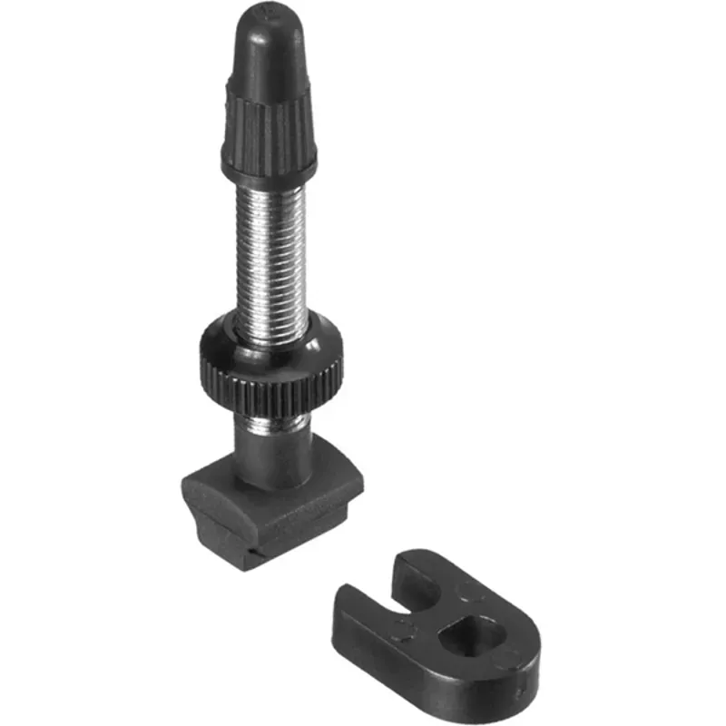 DT Swiss Tubeless Road Valve in Black