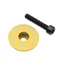 Wolf Tooth Ultralight Stem Cap and Bolt in Gold