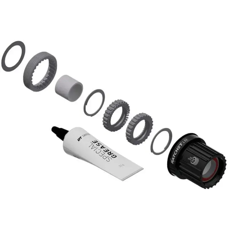 DT Swiss Pawl to Ratchet LN 36 Tooth Conversion Kit in Black