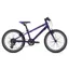 2020 Giant ARX 20 Childs Bike in Purple