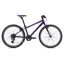 2020 Giant ARX 24 Childs Bike in Purple