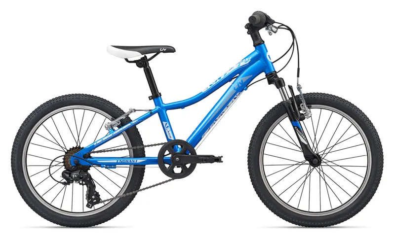2020 Liv Enchant 20 Childs Bike in Blue