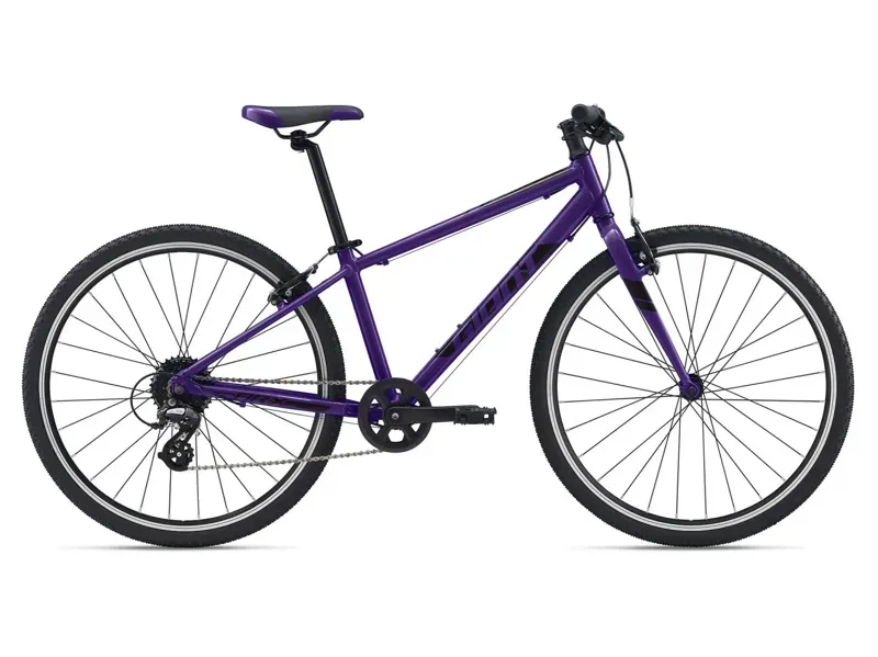 2021 Giant ARX 26 Kids Bike in Purple
