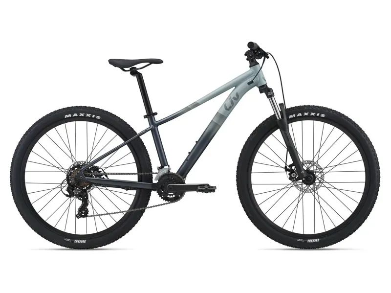2021 Liv Tempt 29 4 Womens Mountain Bike in Grey 
