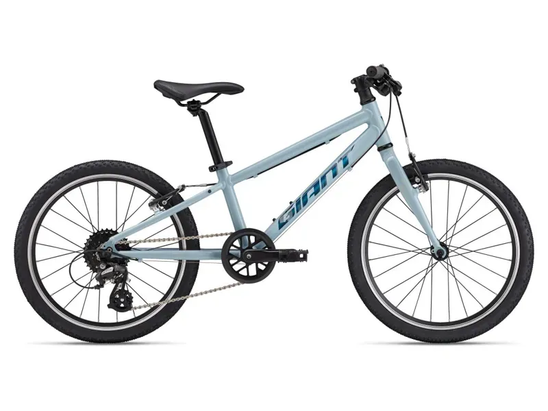 Giant ARX 20 Kids Bike In Soap Suds