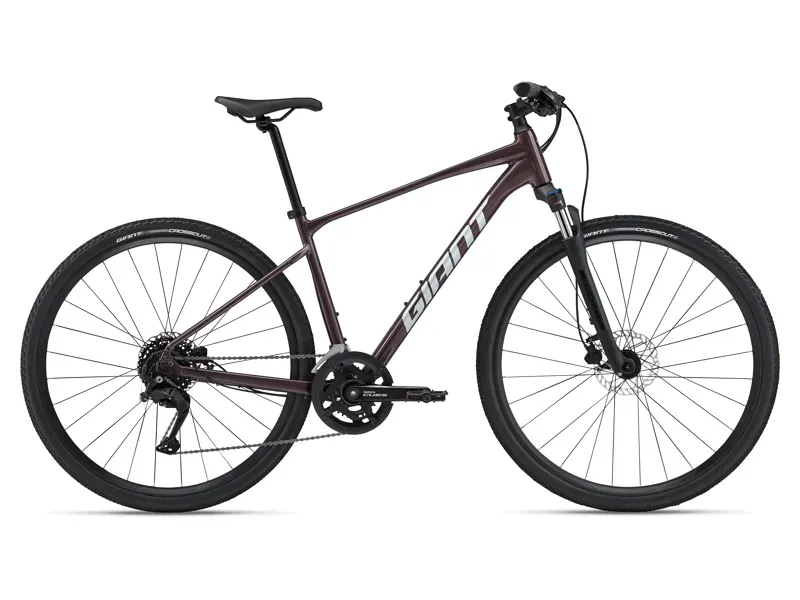 Giant Roam 2 Disc Hybrid Bike in Charcoal Plum-9