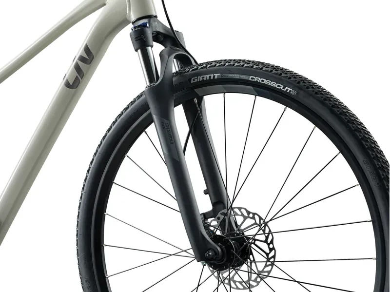 Liv Rove 3 Gravel Bike in Pulp Gray-2