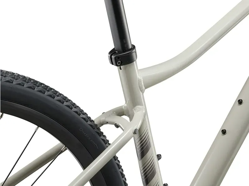 Liv Rove 3 Gravel Bike in Pulp Gray-3