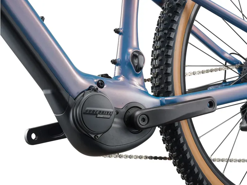 Liv Tempt E+ 25km/h eMountain Bike in Lunar Eclipse-5