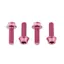 Wolf Tooth 4-piece Water Bottle Cage Bolts in Pink