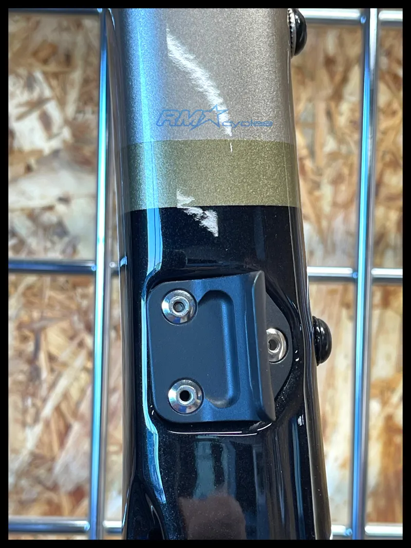 Enve Melee Frameset Gold LTD 54cm-6