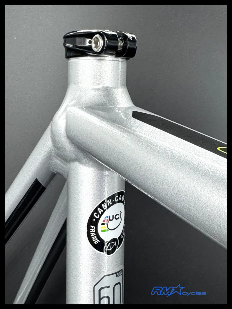 Cannondale CAAD12 Disc Frameset Road Silver 2019-3