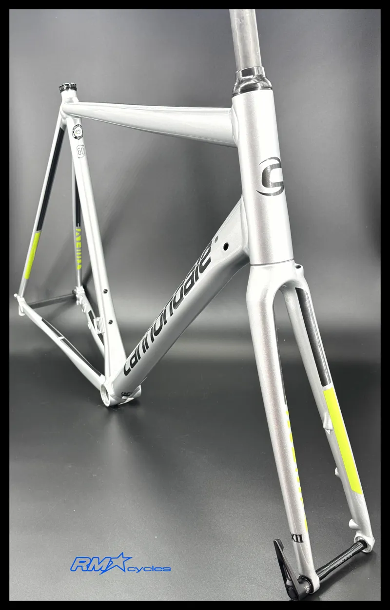 Cannondale CAAD12 Disc Frameset Road Silver 2019