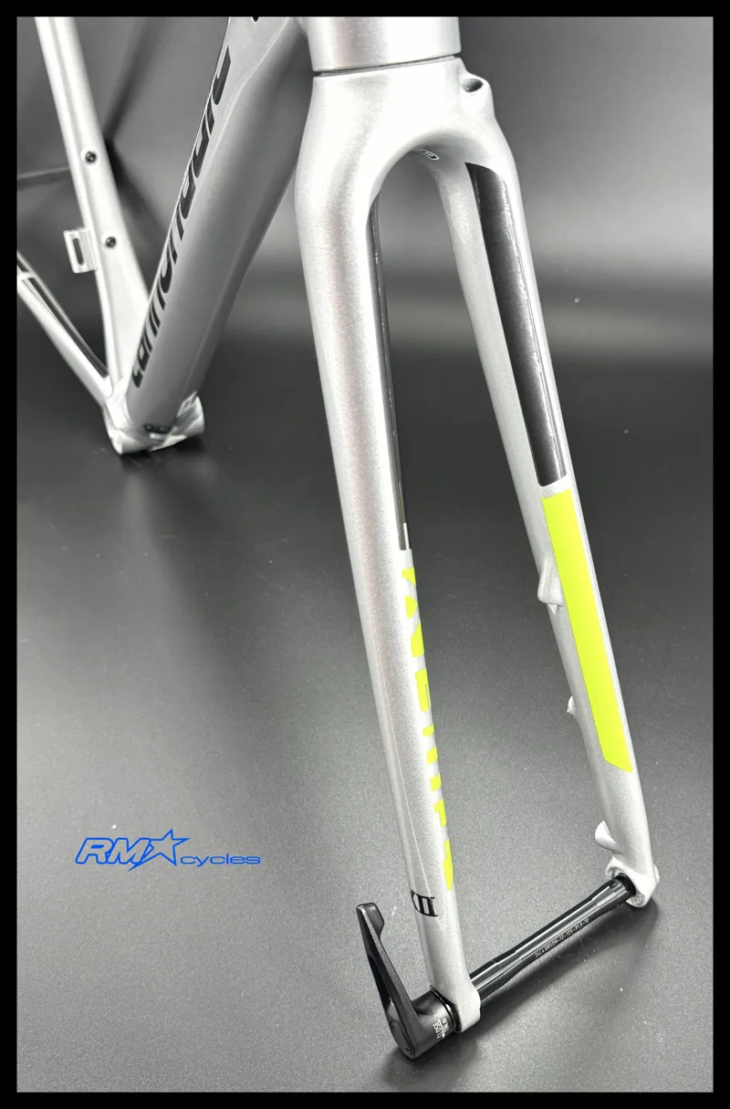 Cannondale CAAD12 Disc Frameset Road Silver 2019-2