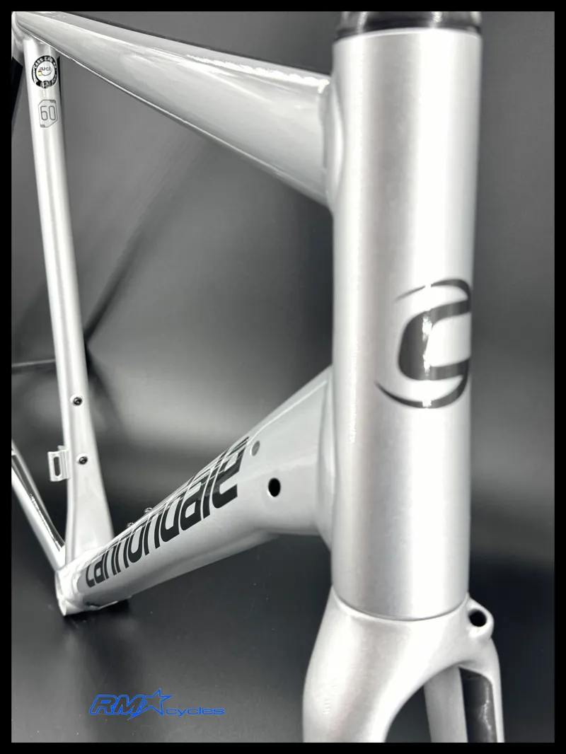 Cannondale CAAD12 Disc Frameset Road Silver 2019-1