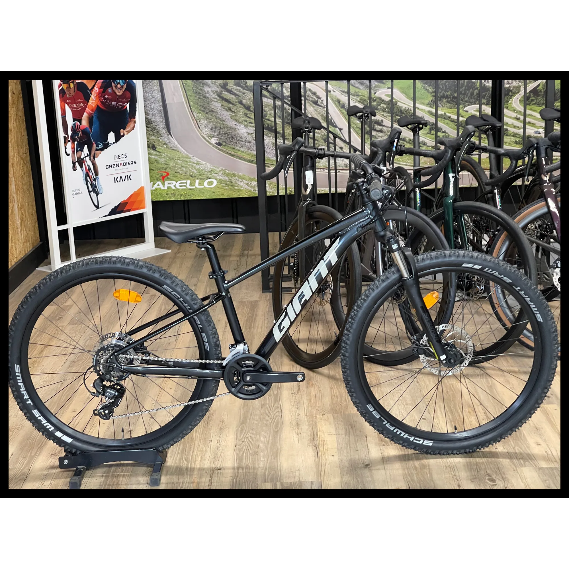 Metallic Black Talon 2021 Magical Giant Talon Size 29 Bike Black