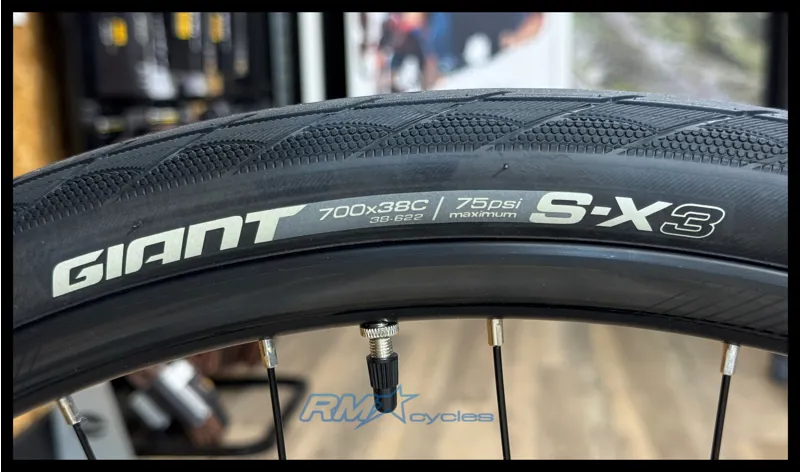 Giant Escape 3 Disc Medium Metallic Black 2022-9