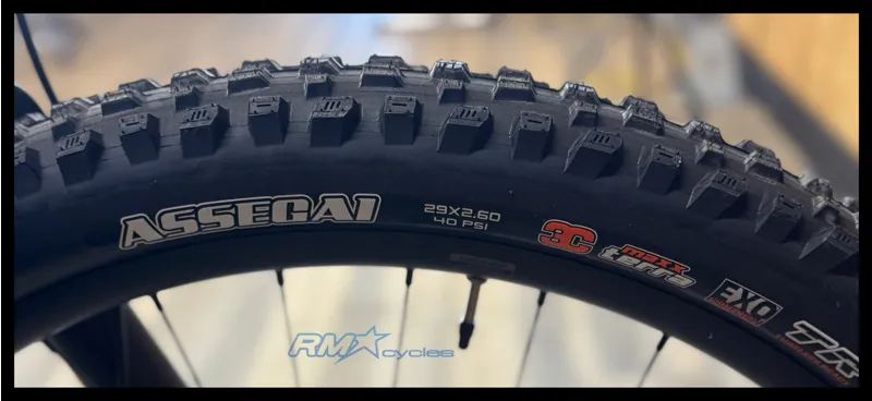 Giant Trance X Advanced E+ 2 Medium Starry Night 2022-13