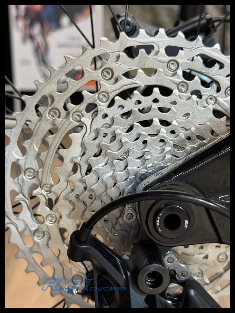 Giant Trance X Advanced E+ 2 Medium Starry Night 2022-7