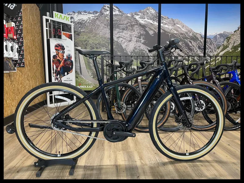 Momentum Transend E+ Ink Medium 2022