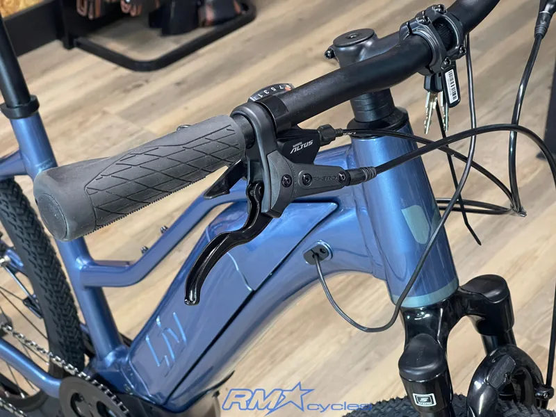Liv Rove E+ 25km/h M Blue Ashes 2022 Ex-Display-7